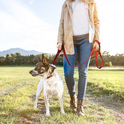 4FT 1IN Strong Red Dog Leash with 2 Padded Handles, Traffic Handle Extra Control, Comfortable Soft Dual Handle, Auto Lock Hook, Reflective Walking Lead for Small Medium and Large Dogs